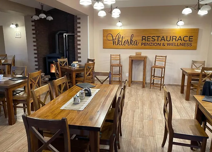Hotel Viktorka Zlic